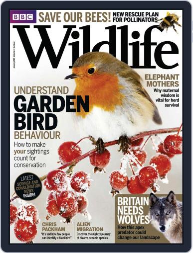 Bbc Wildlife December 22nd, 2014 Digital Back Issue Cover
