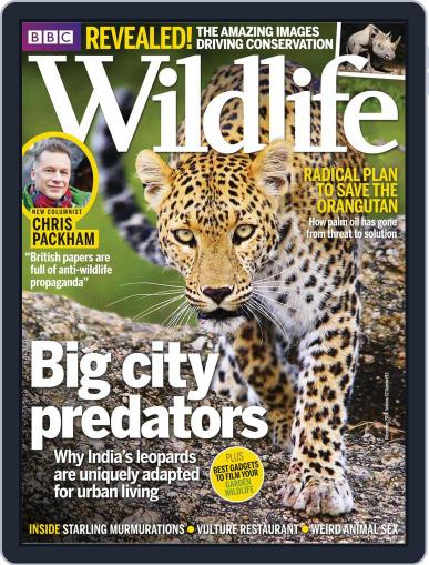 Bbc Wildlife November 19th, 2014 Digital Back Issue Cover