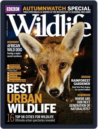 Bbc Wildlife October 27th, 2014 Digital Back Issue Cover
