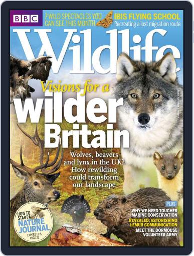 Bbc Wildlife July 29th, 2014 Digital Back Issue Cover
