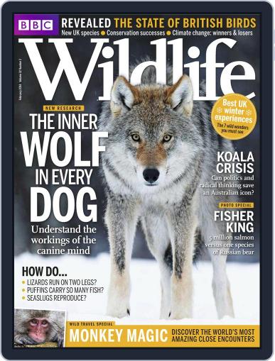 Bbc Wildlife January 22nd, 2014 Digital Back Issue Cover