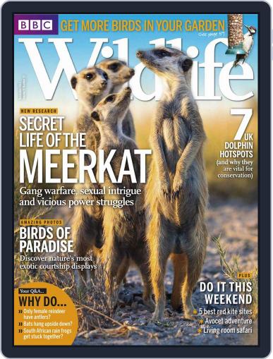Bbc Wildlife November 21st, 2013 Digital Back Issue Cover