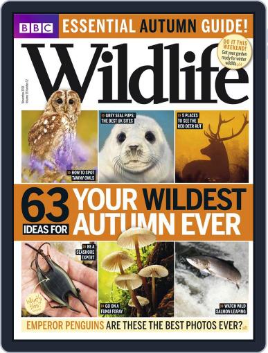 Bbc Wildlife October 29th, 2013 Digital Back Issue Cover