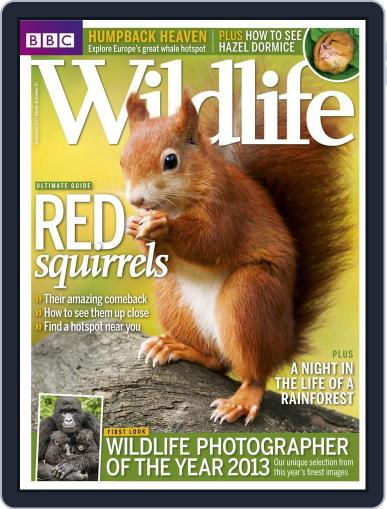 Bbc Wildlife September 3rd, 2013 Digital Back Issue Cover