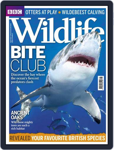 Bbc Wildlife August 2nd, 2013 Digital Back Issue Cover