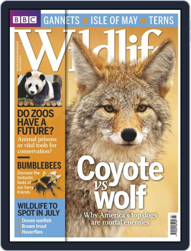 Bbc Wildlife June 4th, 2013 Digital Back Issue Cover