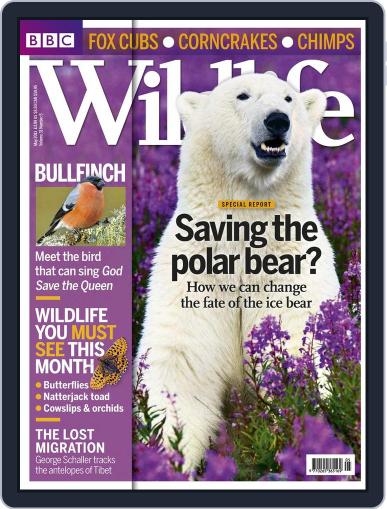 Bbc Wildlife April 9th, 2013 Digital Back Issue Cover