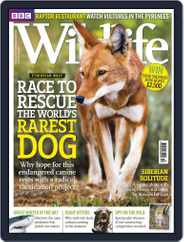 Bbc Wildlife (Digital) Subscription                    November 20th, 2012 Issue