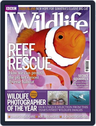 Bbc Wildlife August 29th, 2012 Digital Back Issue Cover