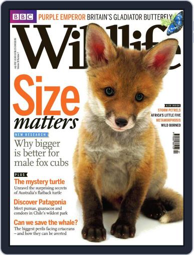 Bbc Wildlife June 7th, 2012 Digital Back Issue Cover