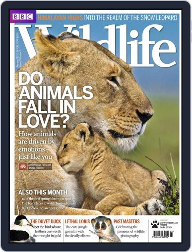 Bbc Wildlife January 18th, 2012 Digital Back Issue Cover