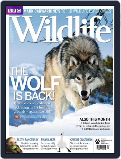 Bbc Wildlife November 23rd, 2011 Digital Back Issue Cover
