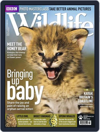 Bbc Wildlife April 21st, 2011 Digital Back Issue Cover