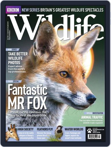 Bbc Wildlife April 19th, 2011 Digital Back Issue Cover