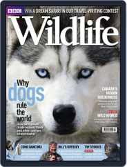 Bbc Wildlife (Digital) Subscription                    December 24th, 2010 Issue