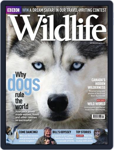 Bbc Wildlife December 24th, 2010 Digital Back Issue Cover