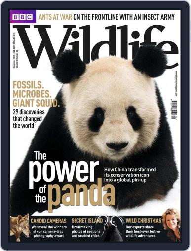 Bbc Wildlife November 24th, 2010 Digital Back Issue Cover