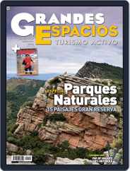 Grandes Espacios (Digital) Subscription                    December 31st, 2008 Issue