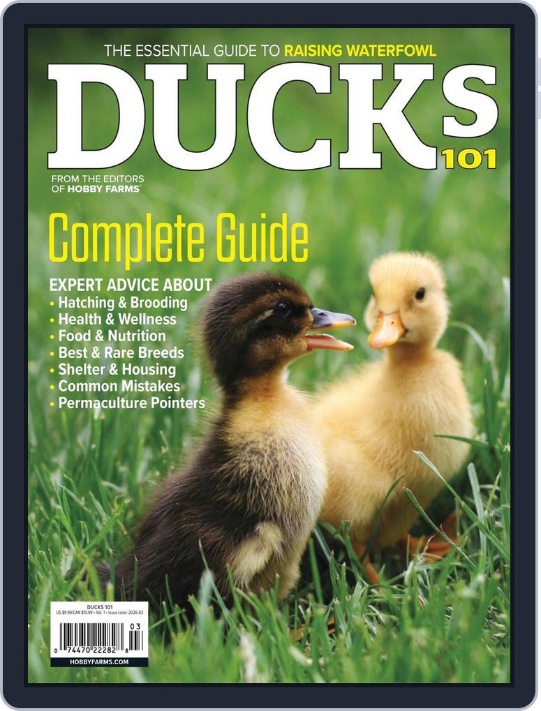 Chickens (Digital) Subscription