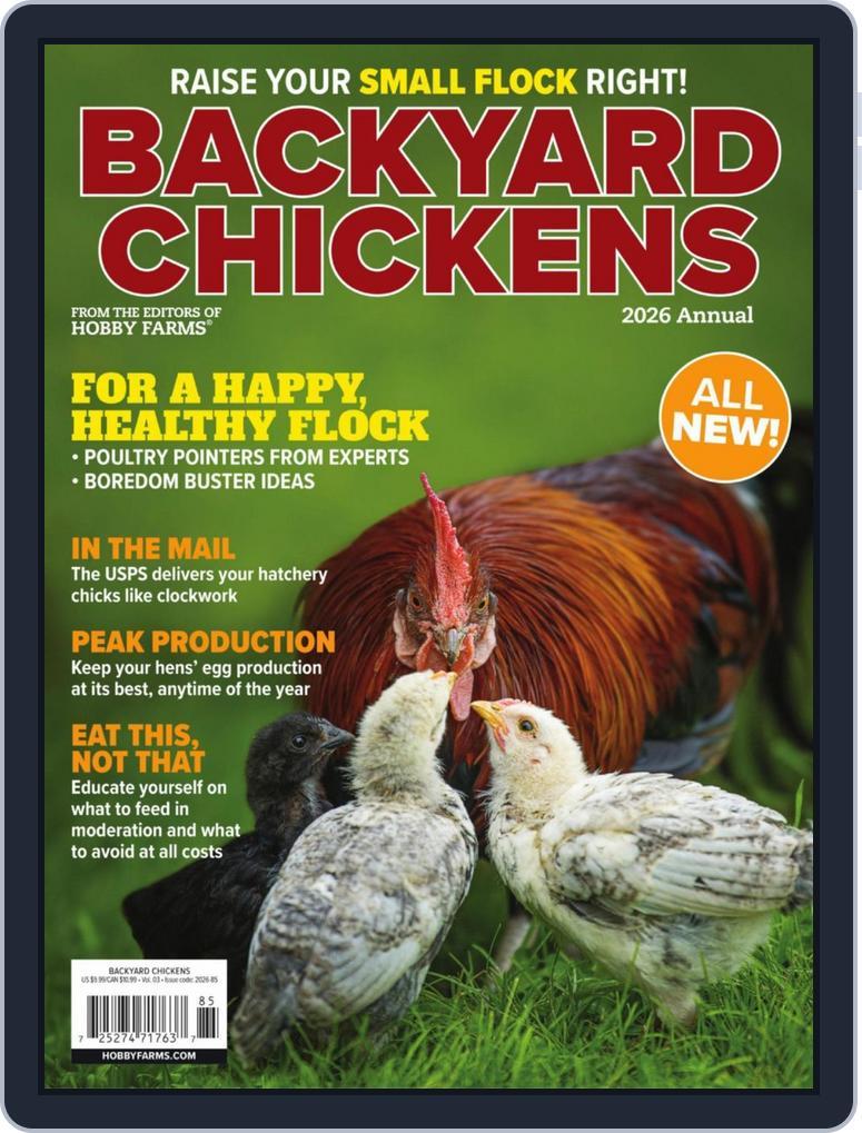 Chickens (Digital) Subscription