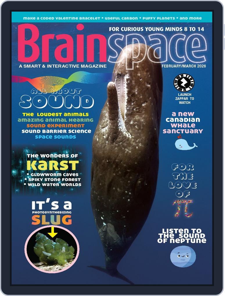 Brainspace (Digital) Subscription                    February 1st, 2026 Issue