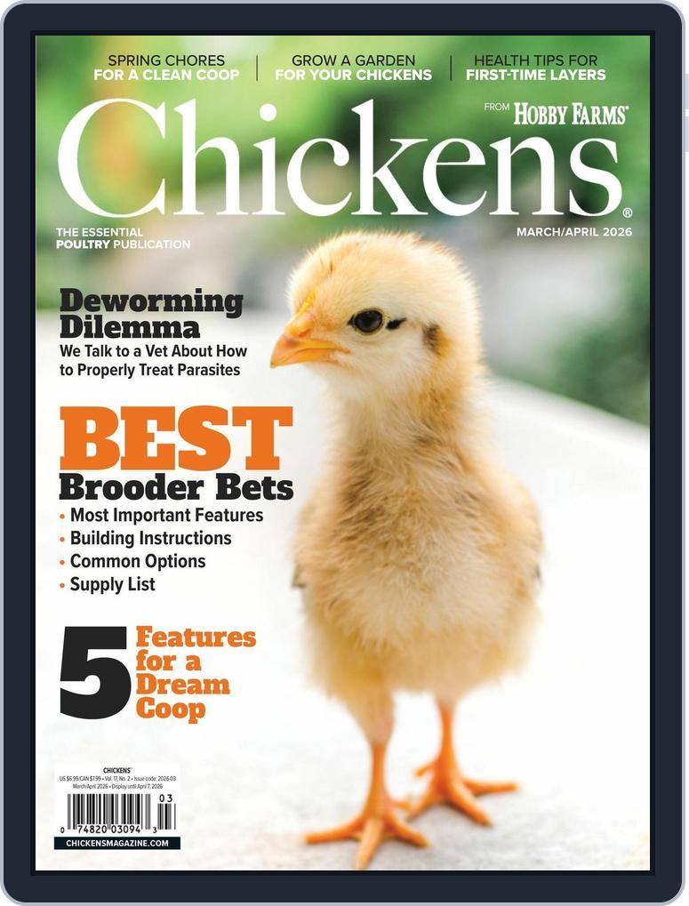 Chickens (Digital) Subscription