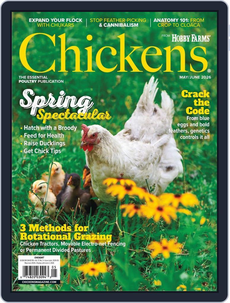 Chickens (Digital) Subscription