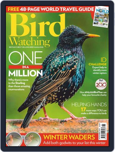 Bird Watching November 1st, 2019 Digital Back Issue Cover
