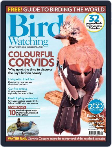 Bird Watching November 1st, 2017 Digital Back Issue Cover