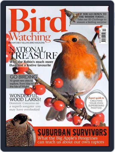 Bird Watching December 1st, 2016 Digital Back Issue Cover
