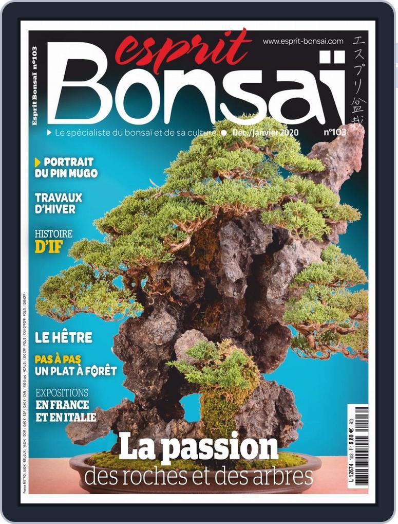 Esprit Bonsai (Digital) Subscription                    December 1st, 2019 Issue
