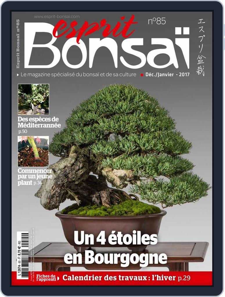 Esprit Bonsai (Digital) Subscription                    December 1st, 2016 Issue