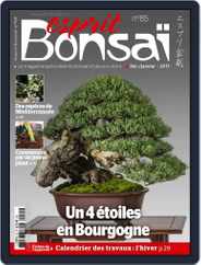 Esprit Bonsai (Digital) Subscription                    December 1st, 2016 Issue