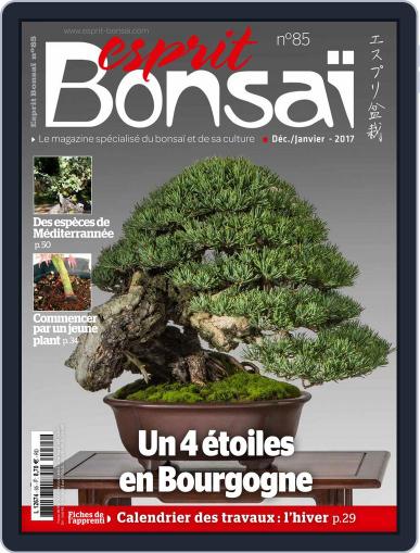 Esprit Bonsai December 1st, 2016 Digital Back Issue Cover