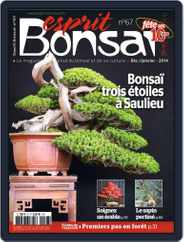 Esprit Bonsai (Digital) Subscription                    November 19th, 2013 Issue