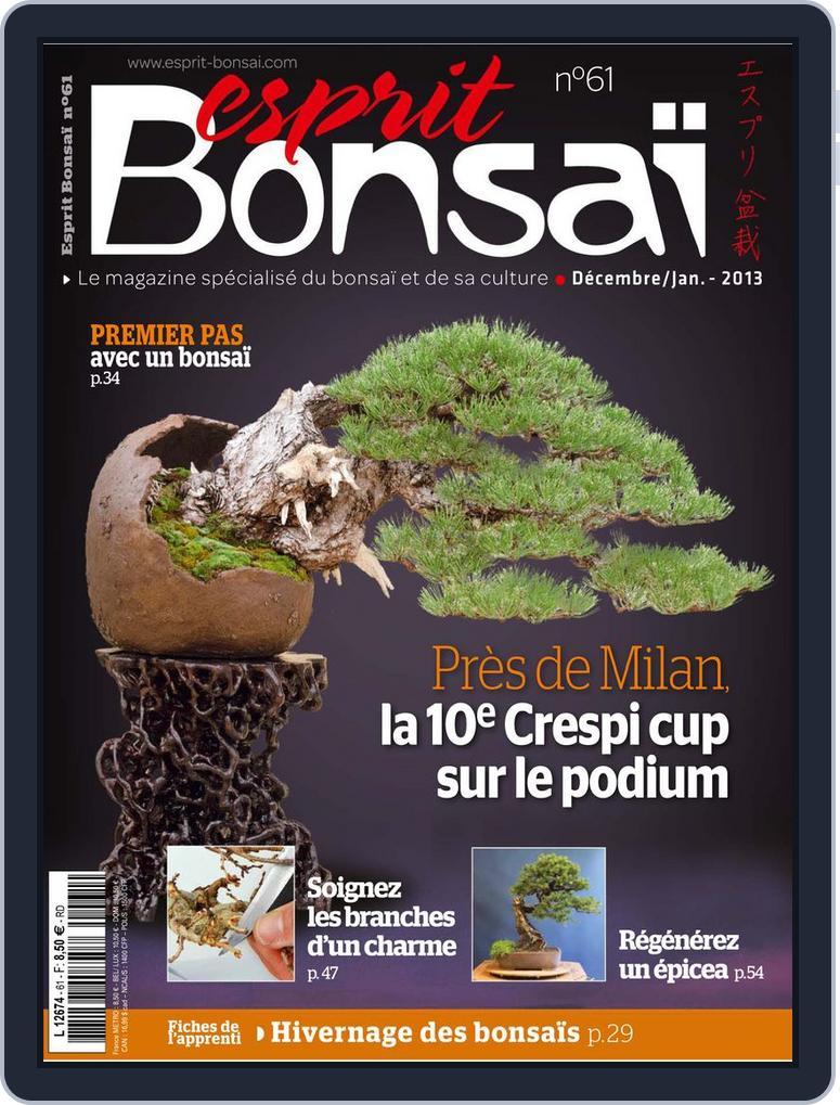 Esprit Bonsai (Digital) Subscription                    November 19th, 2012 Issue