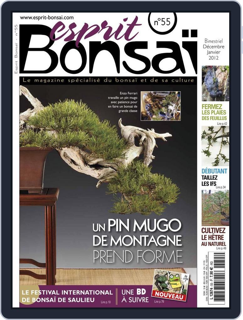 Esprit Bonsai (Digital) Subscription                    November 28th, 2011 Issue