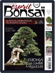 Esprit Bonsai (Digital) Subscription                    November 24th, 2010 Issue