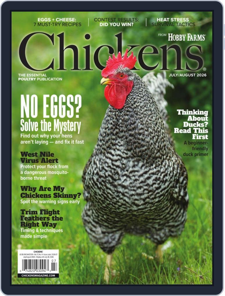Chickens (Digital) Subscription
