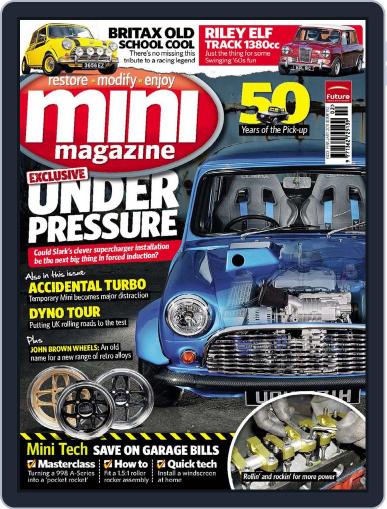 Mini January 13th, 2011 Digital Back Issue Cover