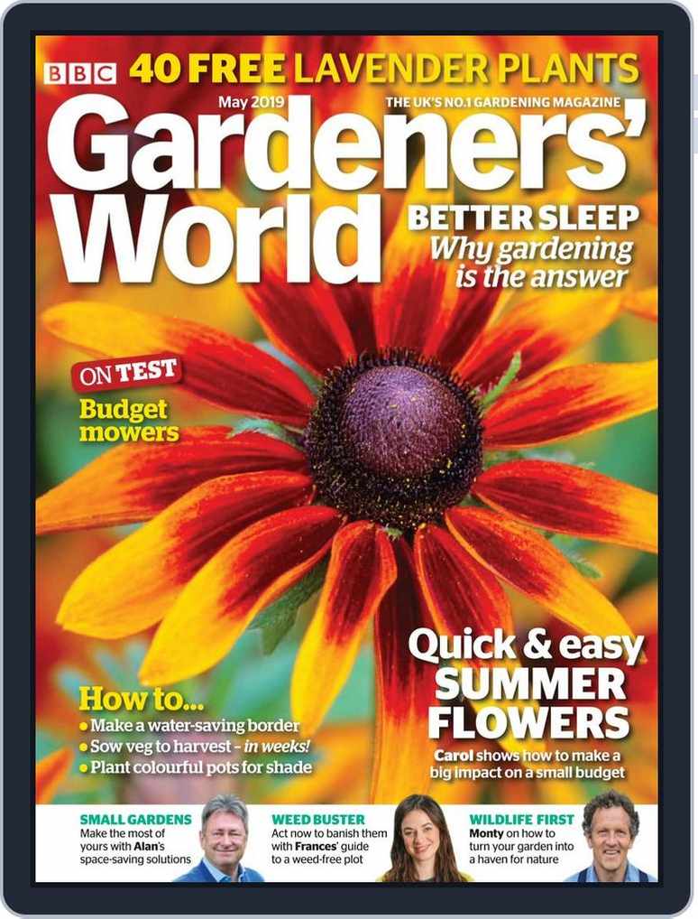Flowers for Small Gardens  BBC Gardeners World Magazine