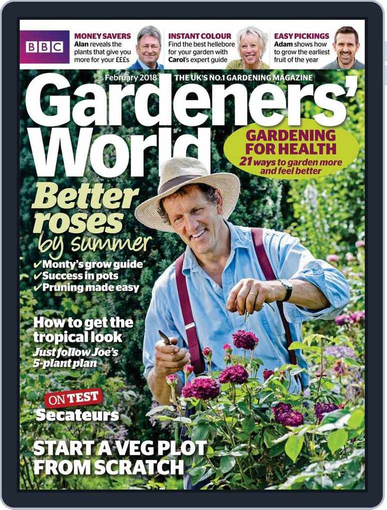 How to take Tomato Cuttings  BBC Gardeners World Magazine