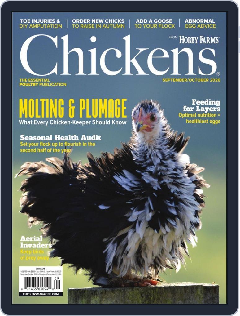 Chickens (Digital) Subscription