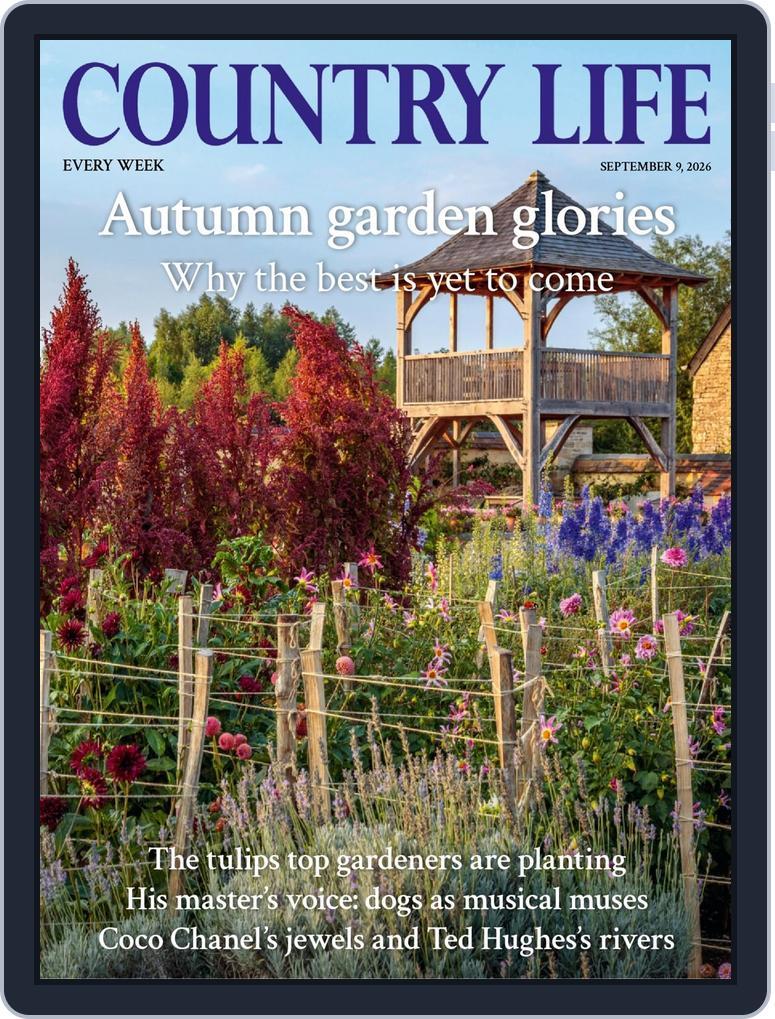 Country Life (Digital) Subscription                    September 9th, 2026 Issue