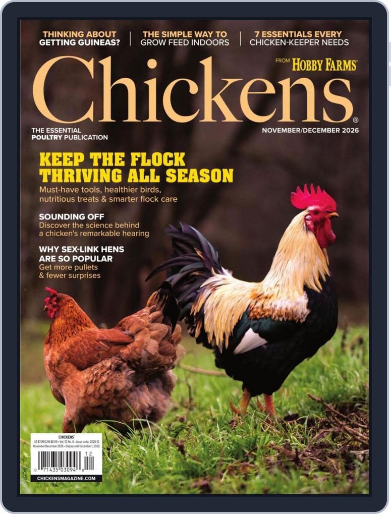 Chickens (Digital) Subscription