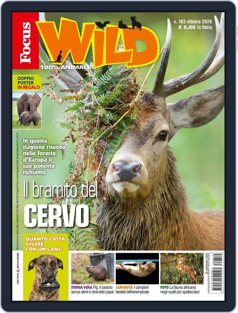 Focus Wild (Digital) Subscription                    October 1st, 2026 Issue