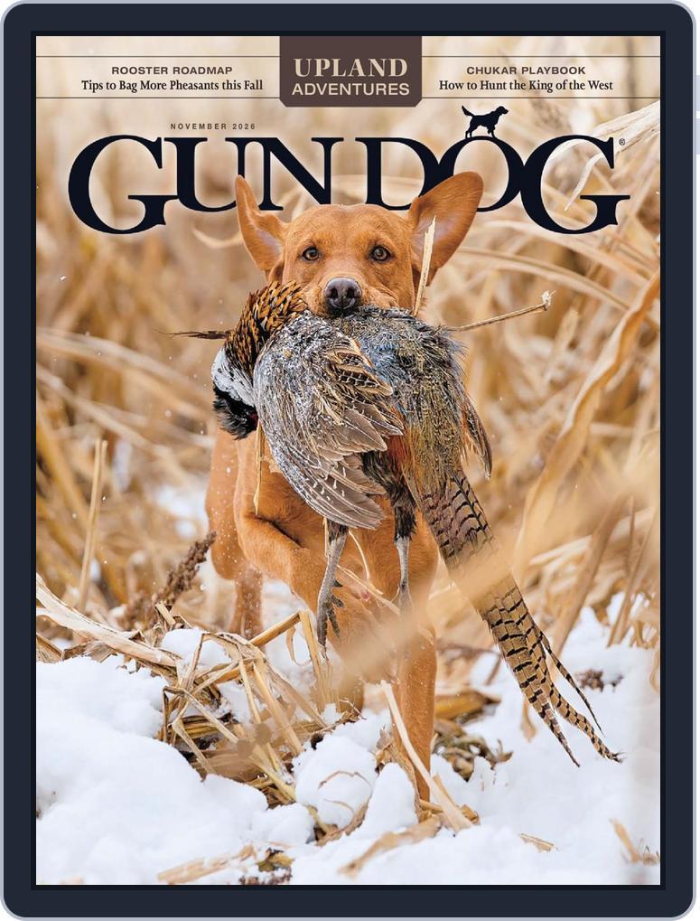 Gun Dog (Digital) Subscription                    November 1st, 2026 Issue