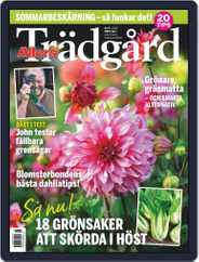 Allers Trädgård (Digital) Subscription                    August 1st, 2020 Issue