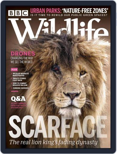 Bbc Wildlife August 1st, 2020 Digital Back Issue Cover