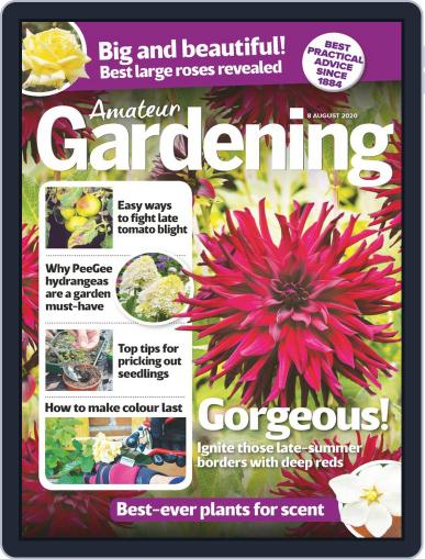 Amateur Gardening August 8th, 2020 Digital Back Issue Cover